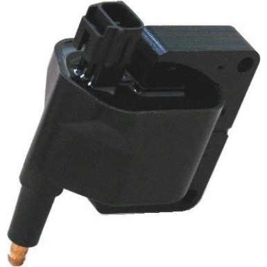 Magneti Marelli | Zündspule | 060717079012