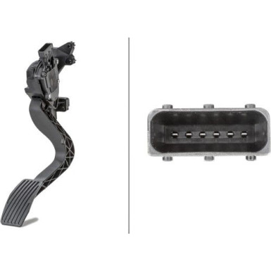 Hella | Sensor, Fahrpedalstellung | 6PV 010 175-731