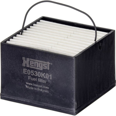 Hengst Filter | Kraftstofffilter | E0530K01