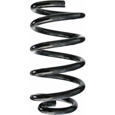 Spidan | Fahrwerksfeder | 49538