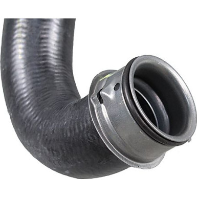 2421175 Kühlerschlauch 2421175 Kühlerschlauch