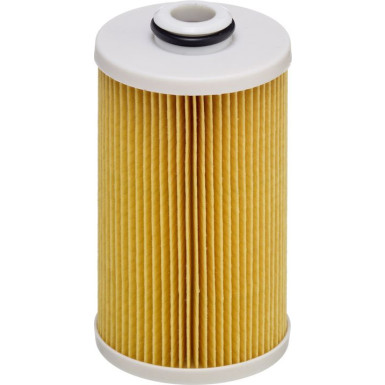 Hengst Filter | Kraftstofffilter | E490KP D484