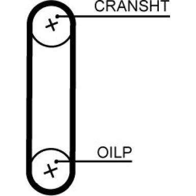 T351HOB Zahnriemen PowerGrip™