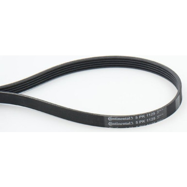 ContiTech | Keilrippenriemen | 5PK1125