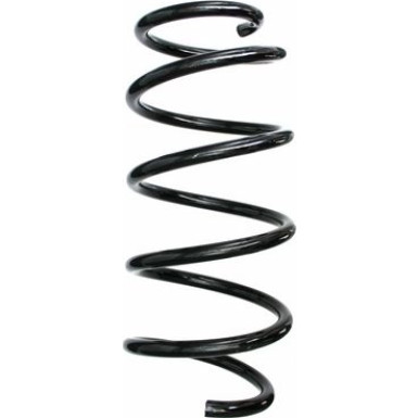 Spidan | Fahrwerksfeder | 87507