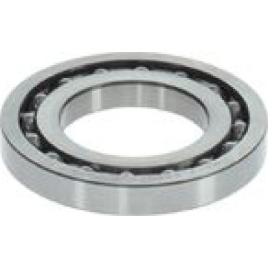 BOSCH | Lager | 1 460 925 001