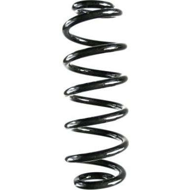 Spidan | Fahrwerksfeder | 88353