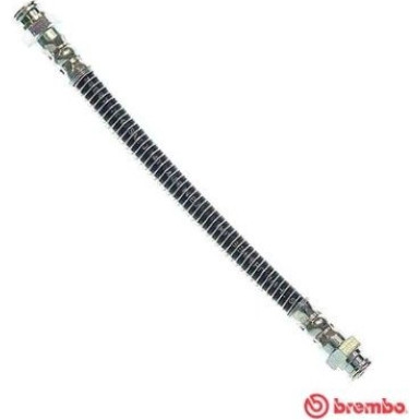 Brembo | Bremsschlauch | T 61 022