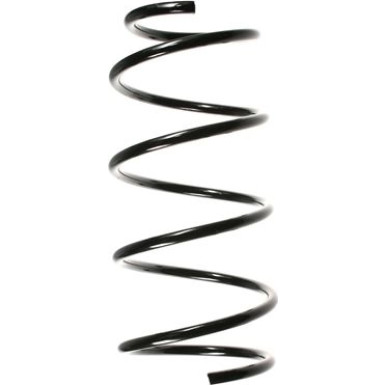 Spidan | Fahrwerksfeder | 49163