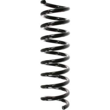 Spidan | Fahrwerksfeder | 55739