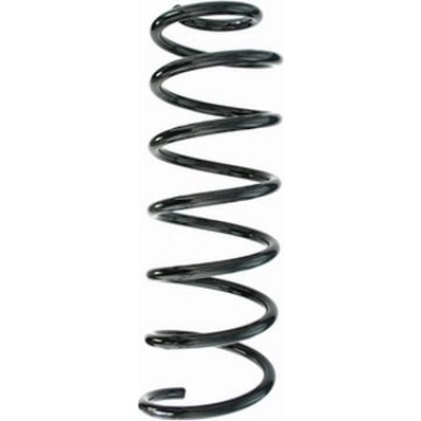 Spidan | Fahrwerksfeder | 87376