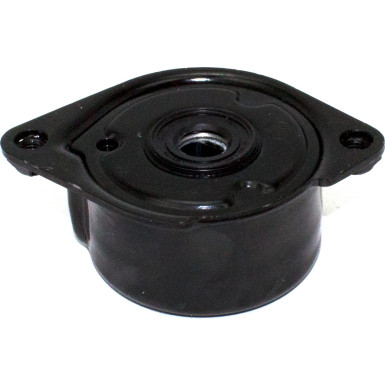 534 0171 10 Riemenspanner, Keilrippenriemen