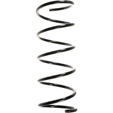 Spidan | Fahrwerksfeder | 55134
