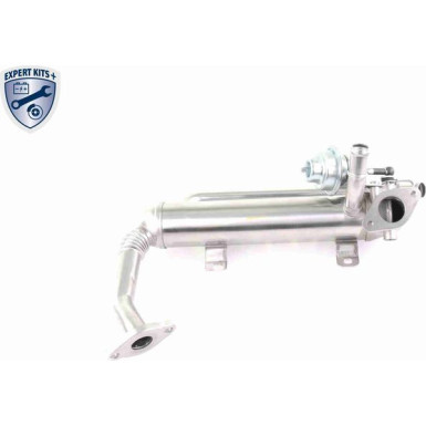 V10-63-0100 Kühler, Abgasrückführung EXPERT KITS +