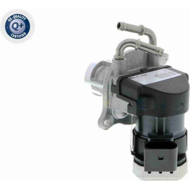 V30-63-0008 AGR-Ventil, Abgassteuerung Q+, Erstausrüsterqualität V30-63-0008 AGR-Ventil, Abgassteuerung Q+, Erstausrüsterqualität