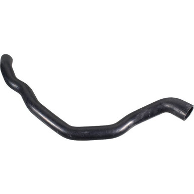 2421905 Kühlerschlauch 2421905 Kühlerschlauch