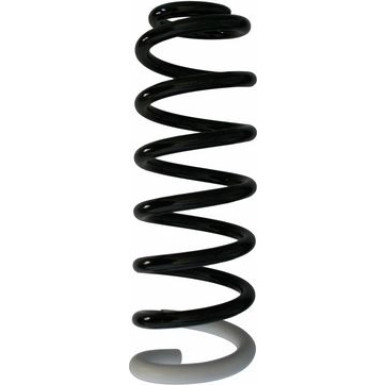 Spidan | Fahrwerksfeder | 87408