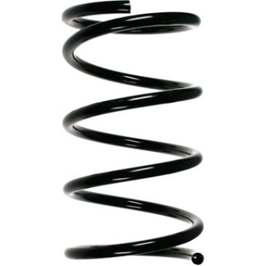 Spidan | Fahrwerksfeder | 55368