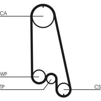 CT874WP5 Wasserpumpe + Zahnriemensatz