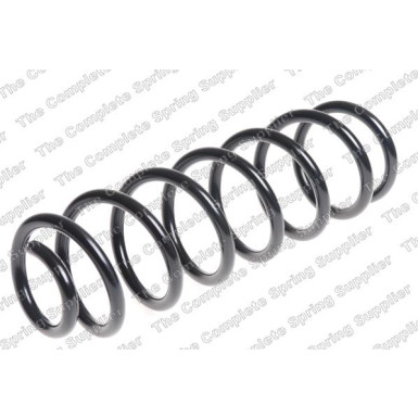 4272955 Fahrwerksfeder