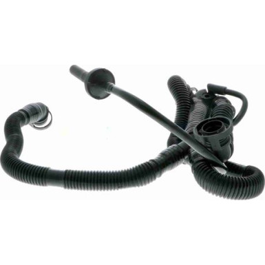 V10-3505 Schlauch, Zylinderkopfhaubenentlüftung Original VAICO Qualität V10-3505 Schlauch, Zylinderkopfhaubenentlüftung Original VAICO Qualität