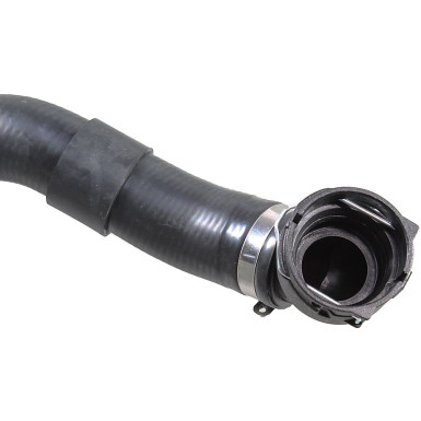 2421639 Kühlerschlauch 2421639 Kühlerschlauch