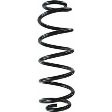 Spidan 2 x SPIDAN Fahrwerksfeder 87824