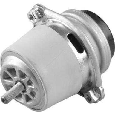 TED50099 Lagerung, Motor