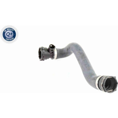 Vaico | Kühlerschlauch | V20-0865