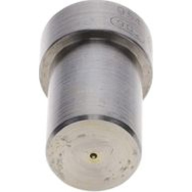 BOSCH 0 434 250 233 Einspritzdüse