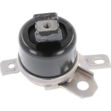 Corteco | Lagerung, Motor | 49389726