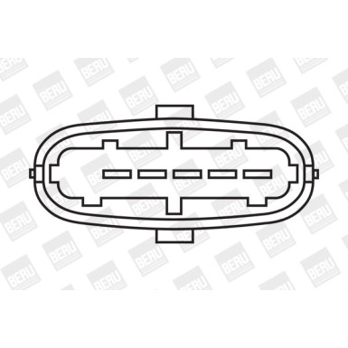 BorgWarner (BERU) | Zündspule | ZS358