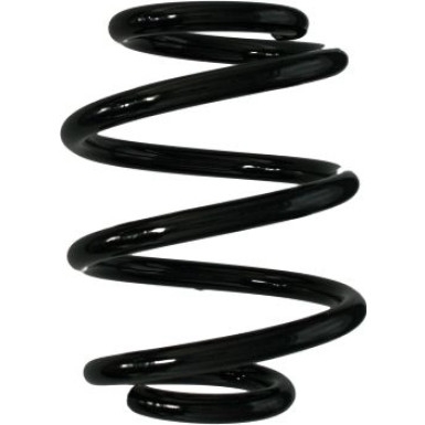 Spidan | Fahrwerksfeder | 86547