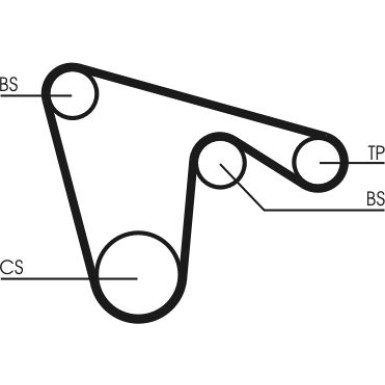 CT970 Zahnriemen CT970 Zahnriemen