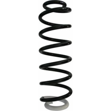 Spidan | Fahrwerksfeder | 87412