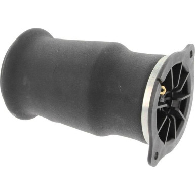 80001152 Luftfeder, Fahrwerk 80001152 Luftfeder, Fahrwerk