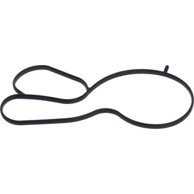 529306 Wasserpumpe, Motorkühlung