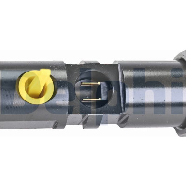 R01101D-12B1 Einspritzventil