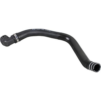 2420979 Kühlerschlauch