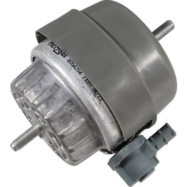 8054254 Lagerung, Motor