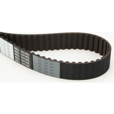 CT700 Zahnriemen CT700 Zahnriemen