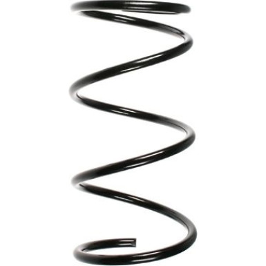 Spidan | Fahrwerksfeder | 49310