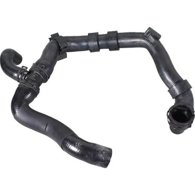 2421995 Kühlerschlauch