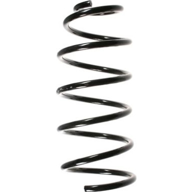 Spidan | Fahrwerksfeder | 49554