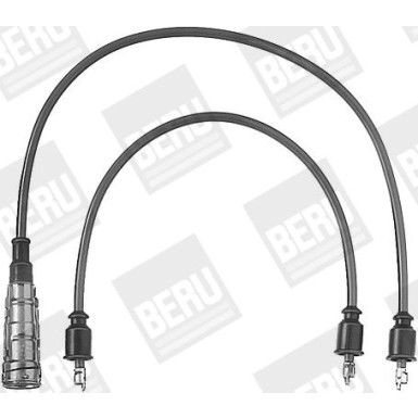 BorgWarner (BERU) | Zündleitungssatz | ZEF435