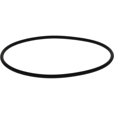 BOSCH | Dichtring | 2 410 210 050