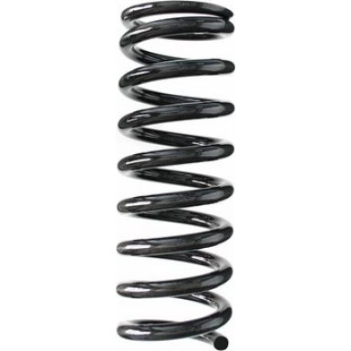 Spidan | Fahrwerksfeder | 49699