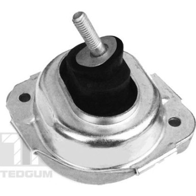 Tedgum | Lagerung, Motor | 00088550