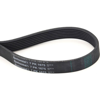 ContiTech | Keilrippenriemen | 7PK1675
