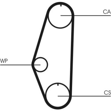 CT629WP1 Wasserpumpe + Zahnriemensatz